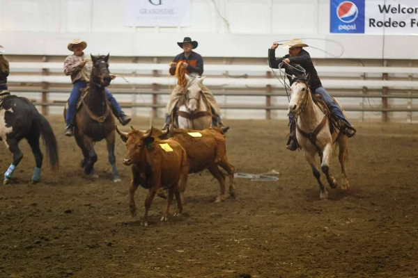 Winter Show